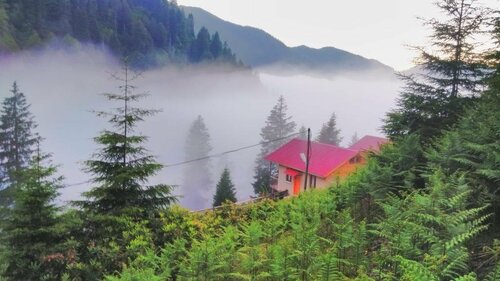Гостиница Ayder Cise Dag Evleri в Чамлыхемшине