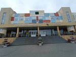 Федерация Гимнастики (250 letiya Chelyabinsk Street, 46), sports association