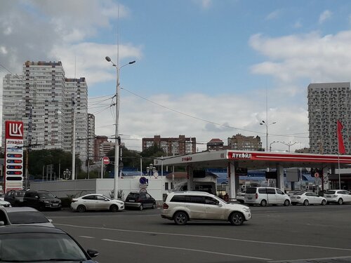 Қызғылт сары ормандағы порно