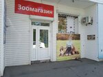 Zoomagazin Ip Kasina Ye. V. (Chasovitina Street, 17А), tienda de animales