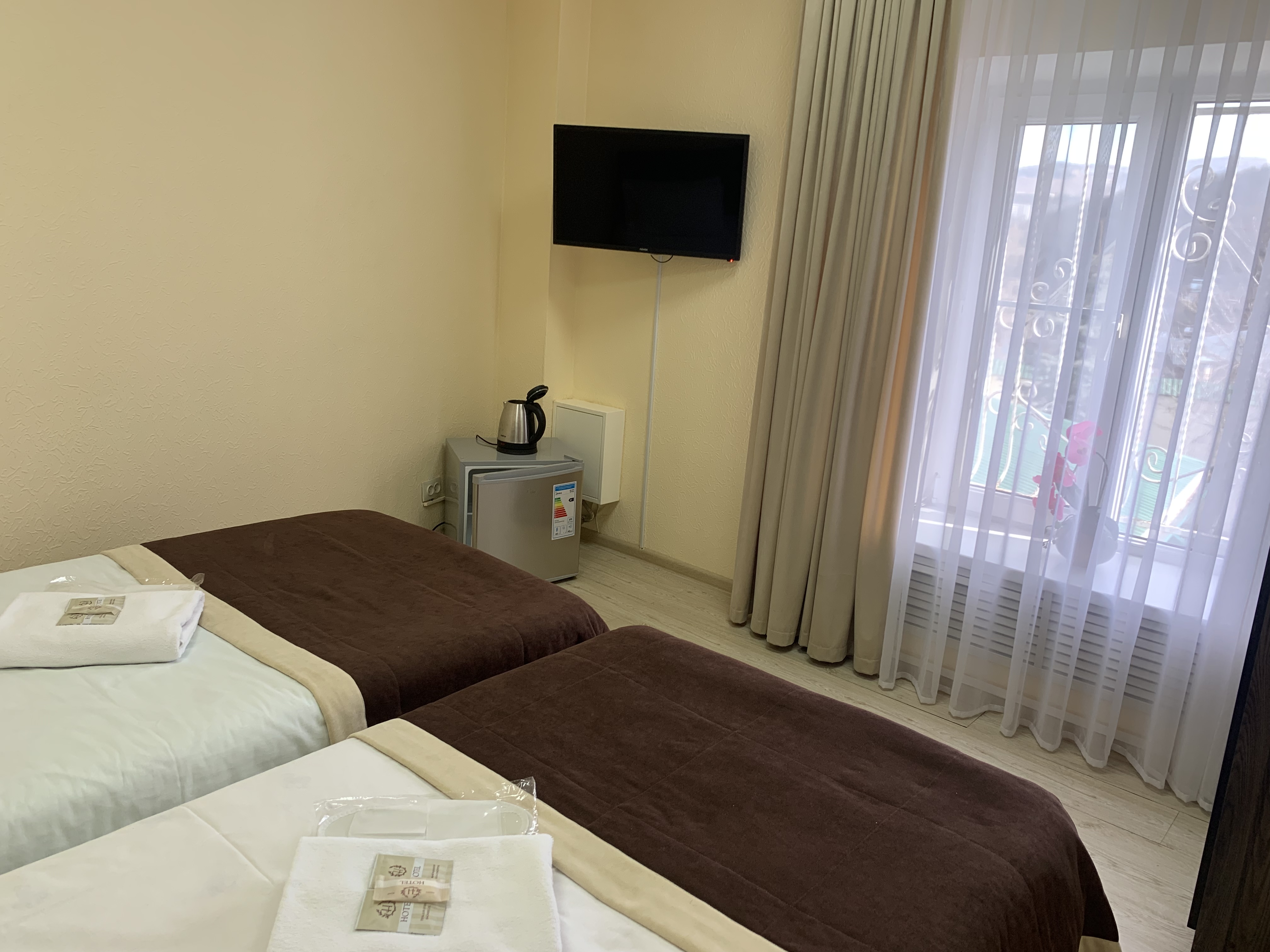 Фото Ласточка