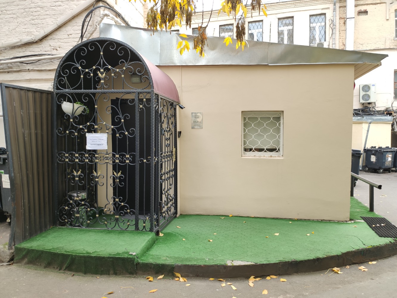 Фото Софи