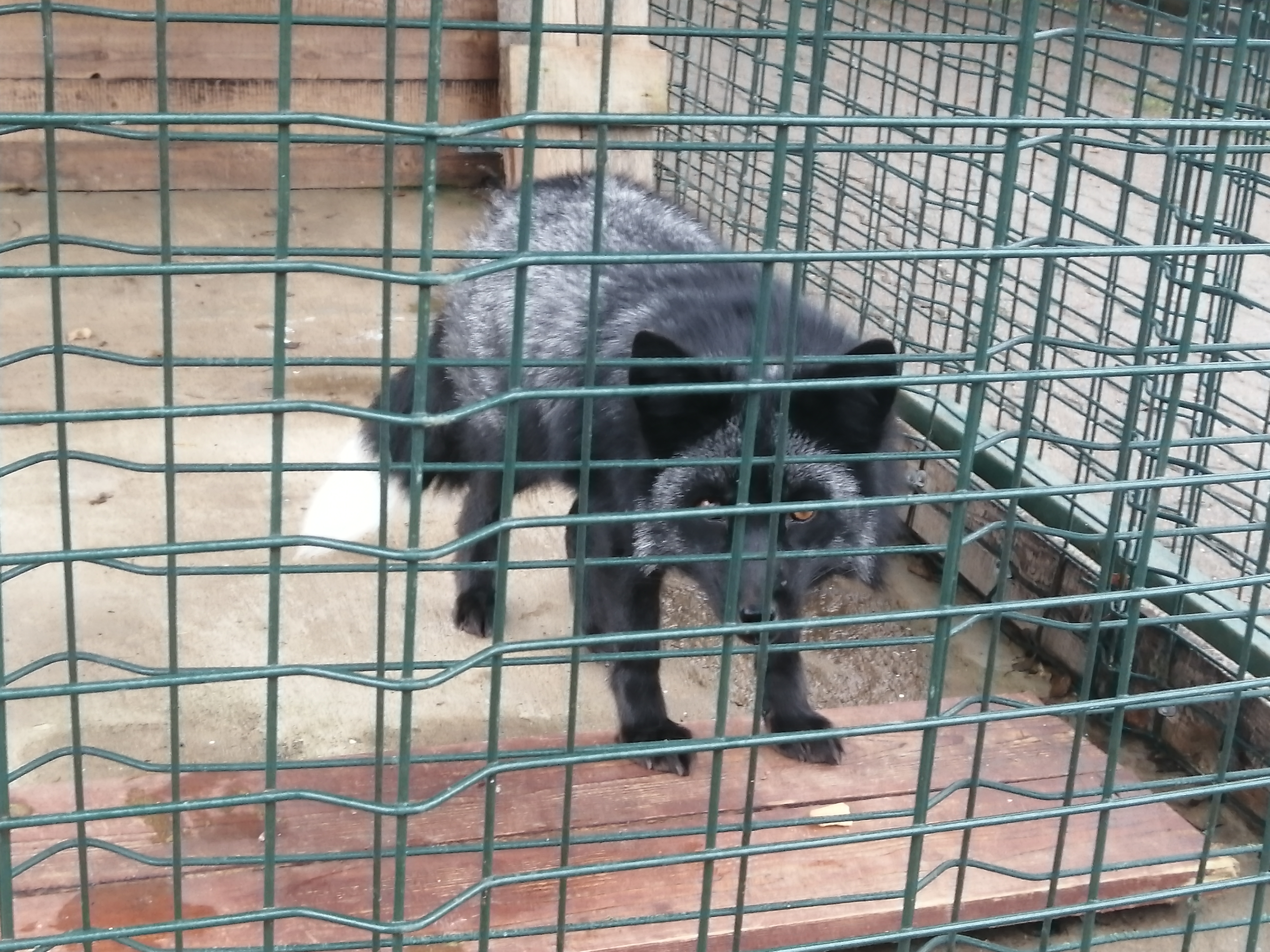 Фото Северный склон