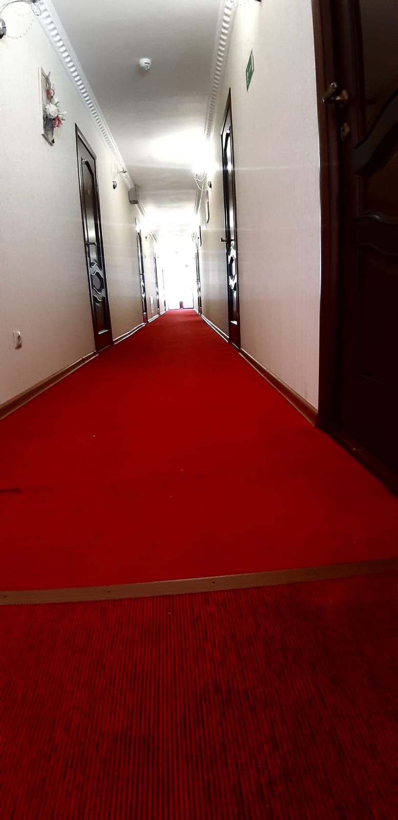 Фото Сказка Снежных Вершин