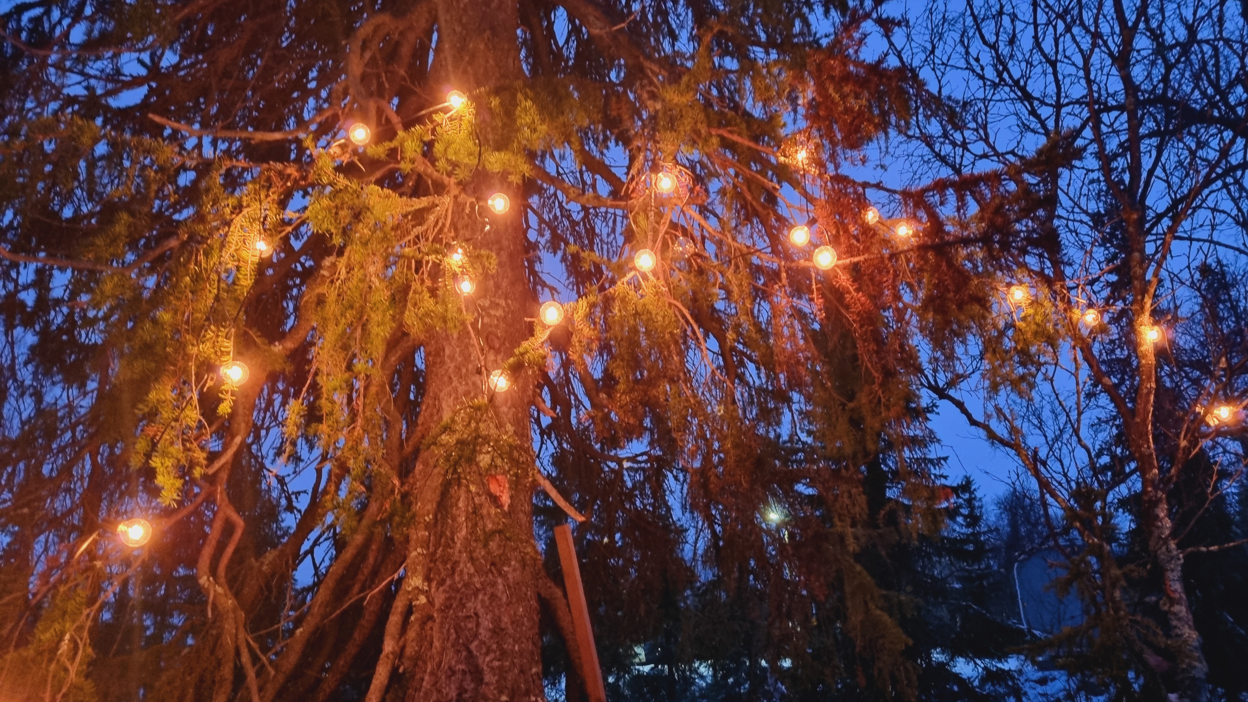 Фото Aurora Барнхаус