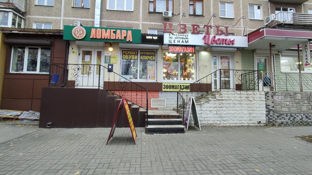 Завхоз ул героев сибиряков 46 фото Аверс, ломбард, ул. Героев Сибиряков, 65, Воронеж - Яндекс Карты