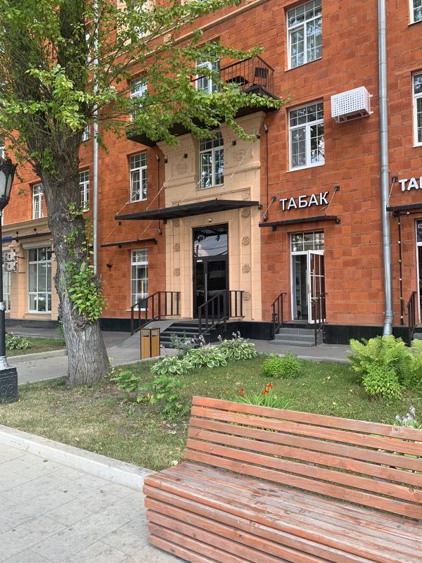 Фото Светлый и Оливка