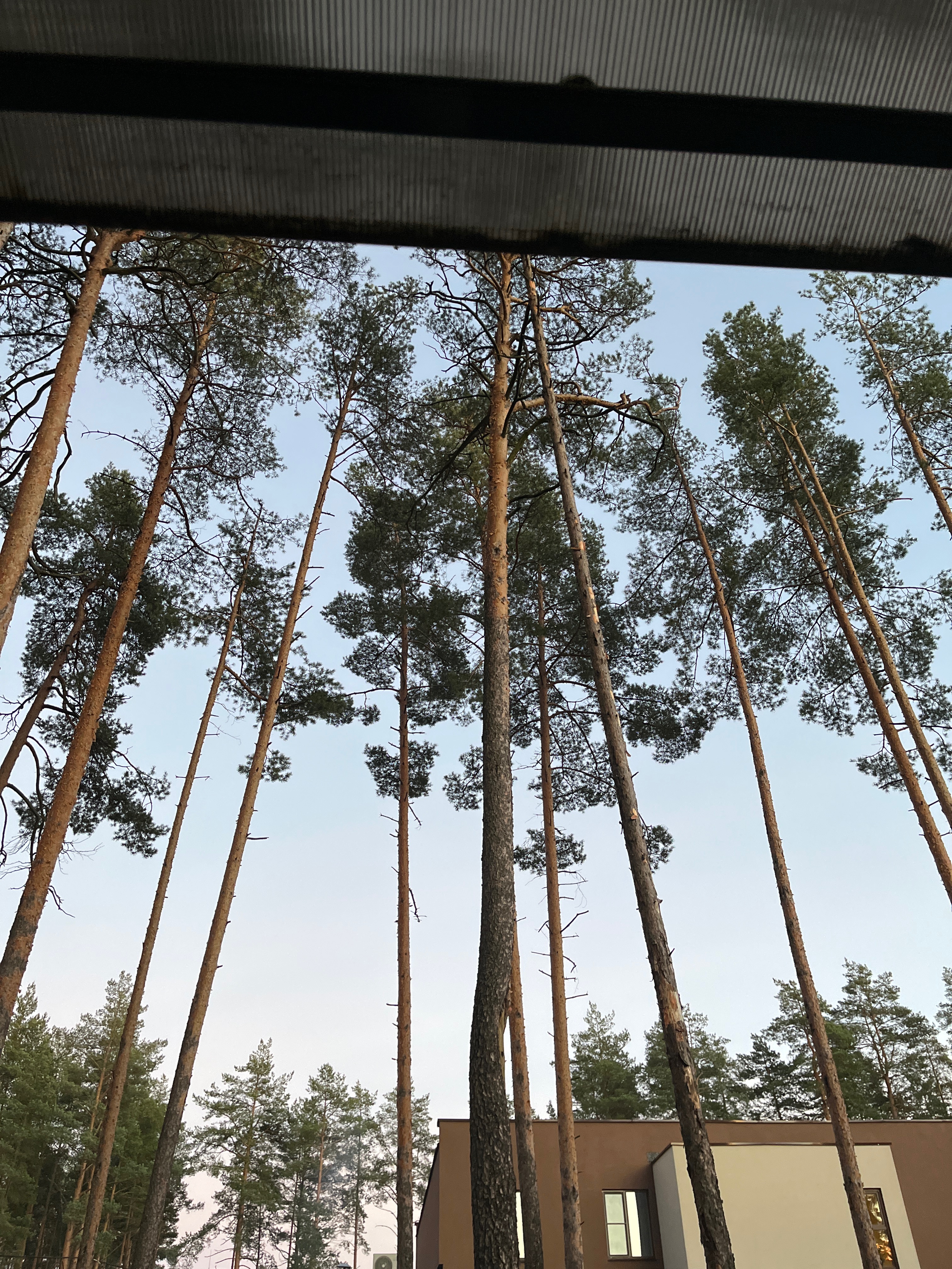 Фото Globus Hotel