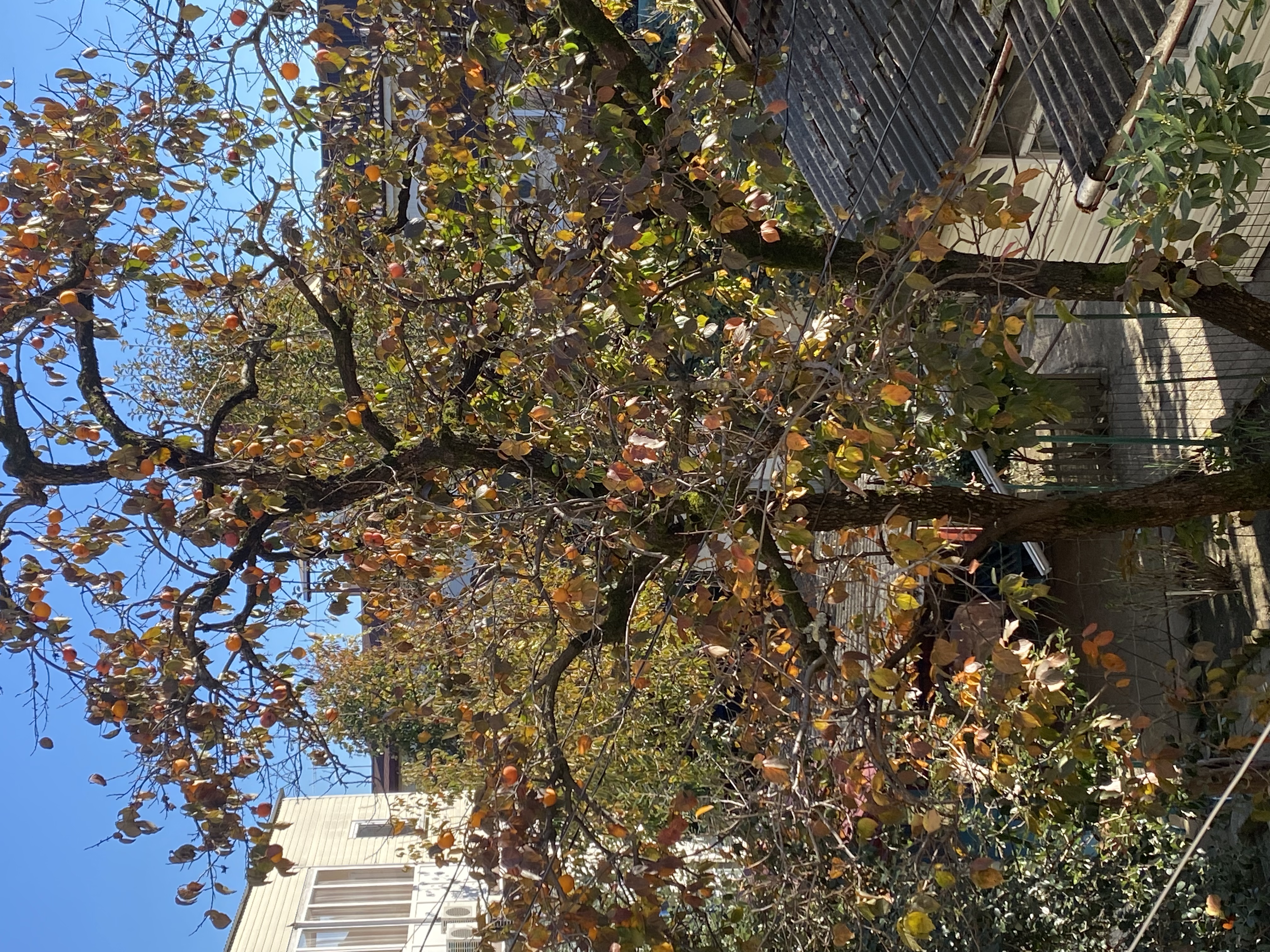 Фото Валерия