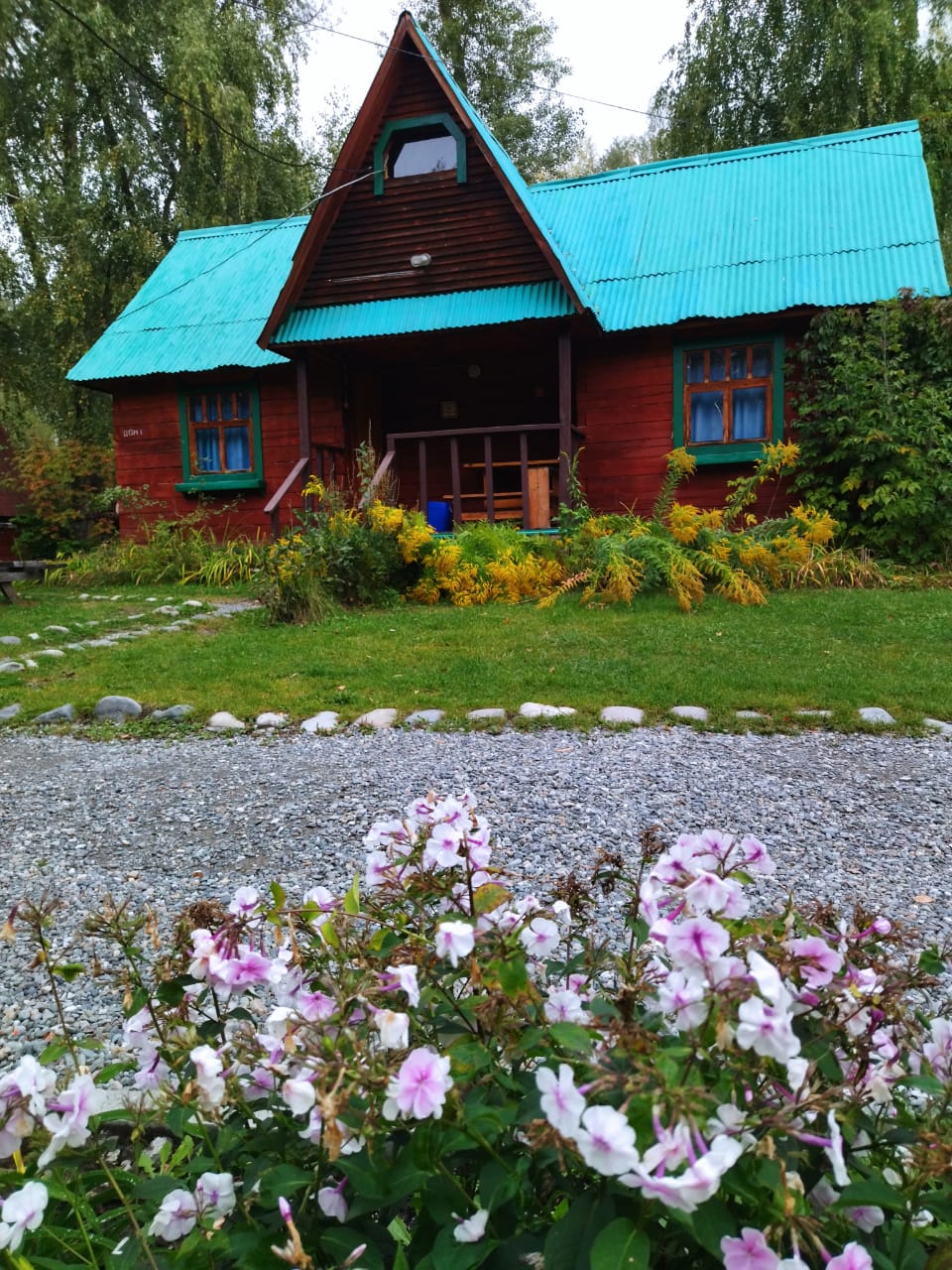 Фото Колибри