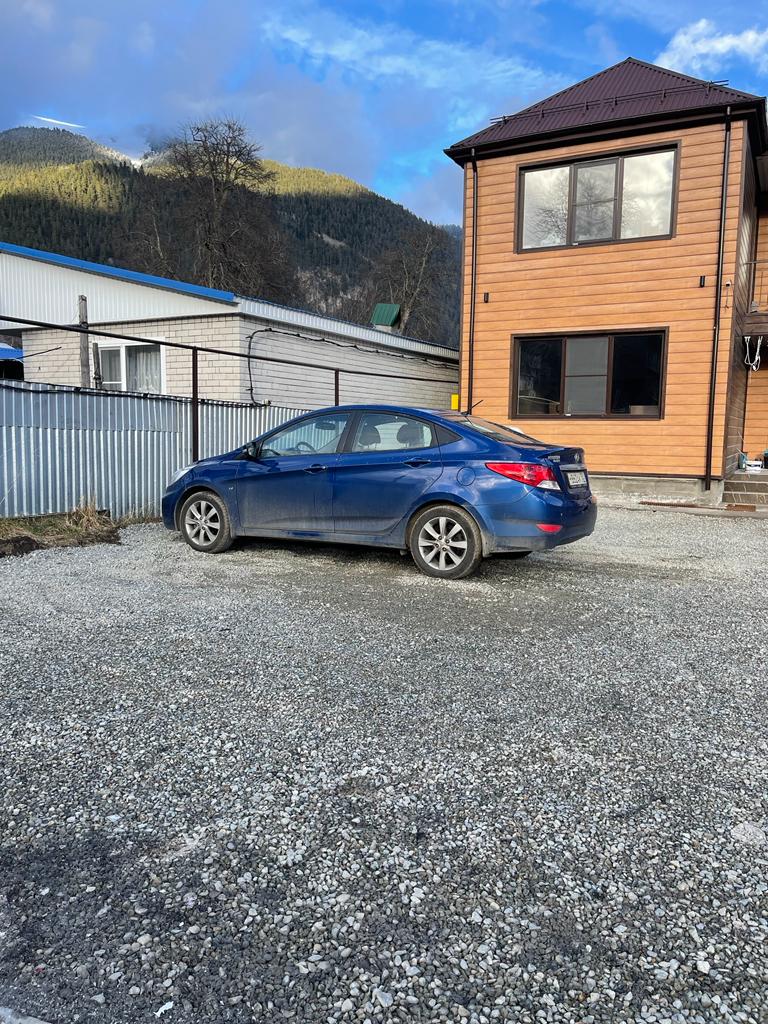 Фото Пихты Snow Point