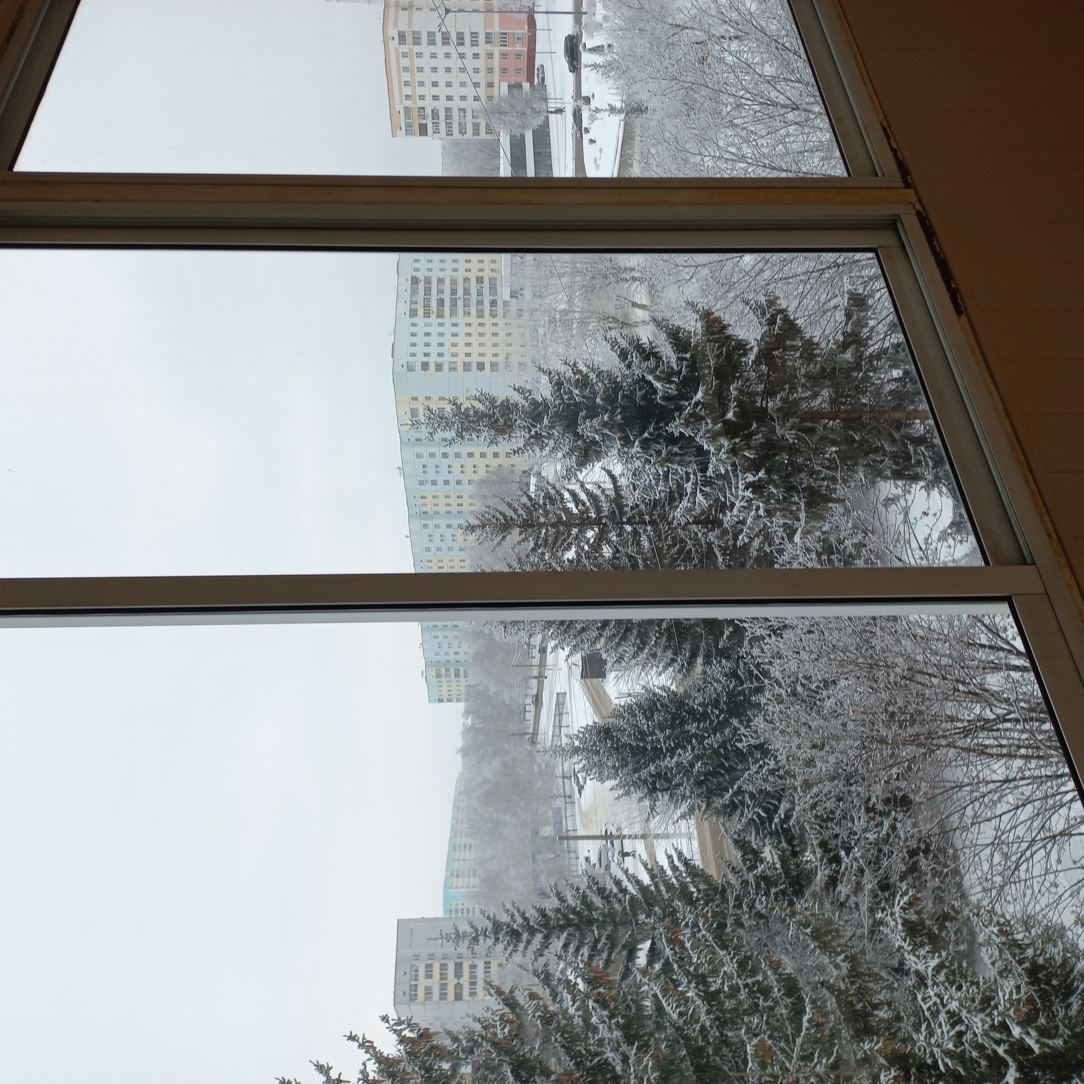 Фото Шифалы