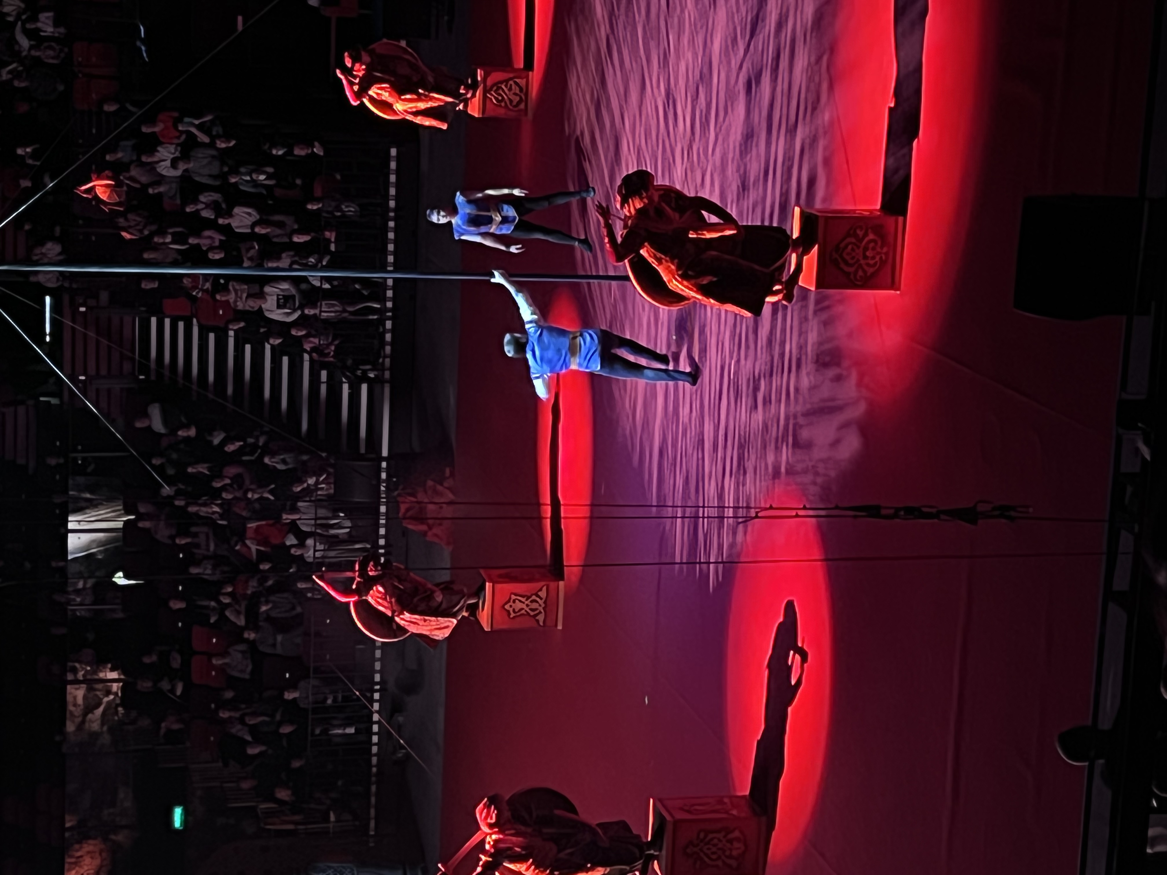 Фото Дворец Ирины Винер