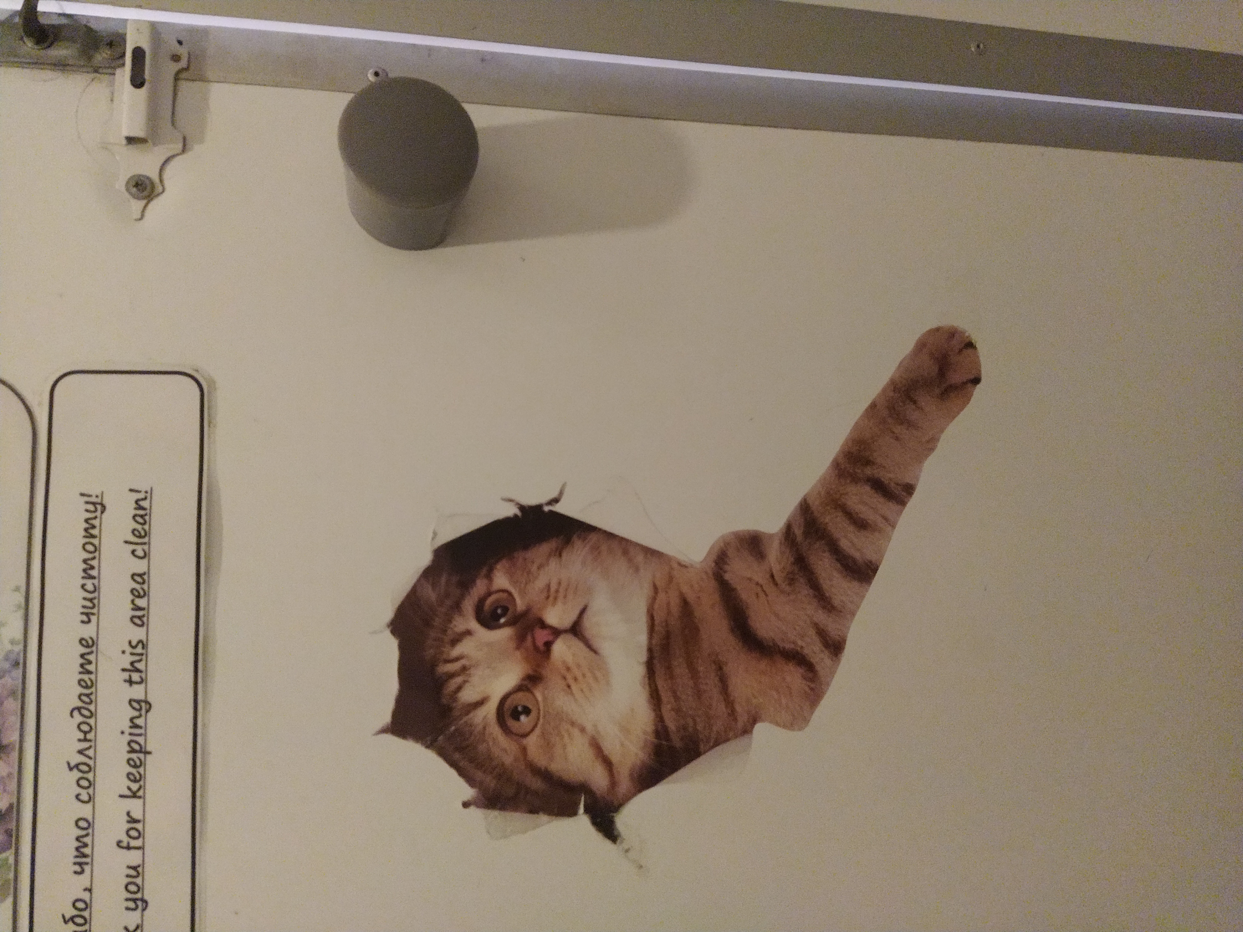 Фото Хостел Смайл