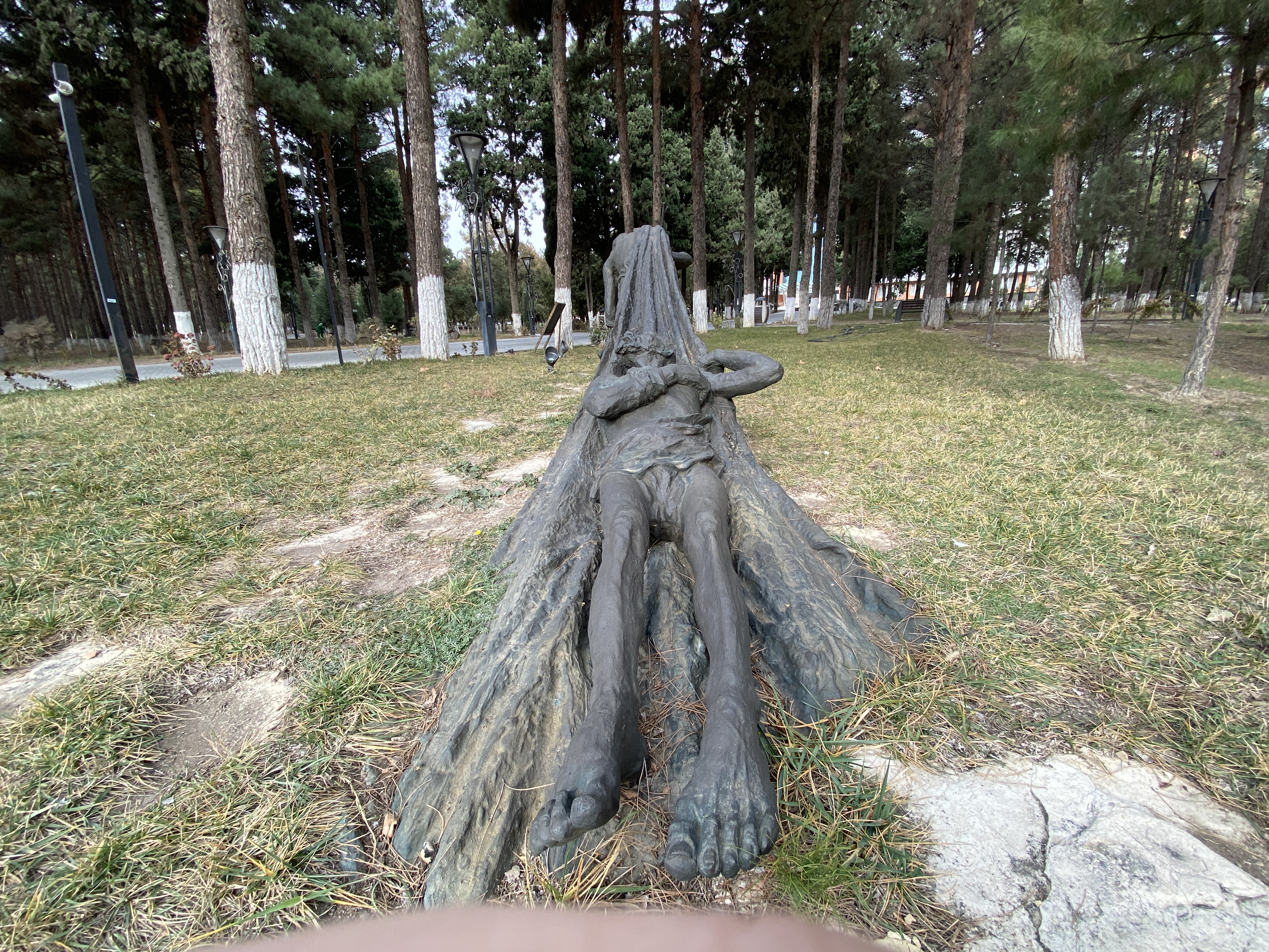 Фото Chinar Health Hotel Naftalan