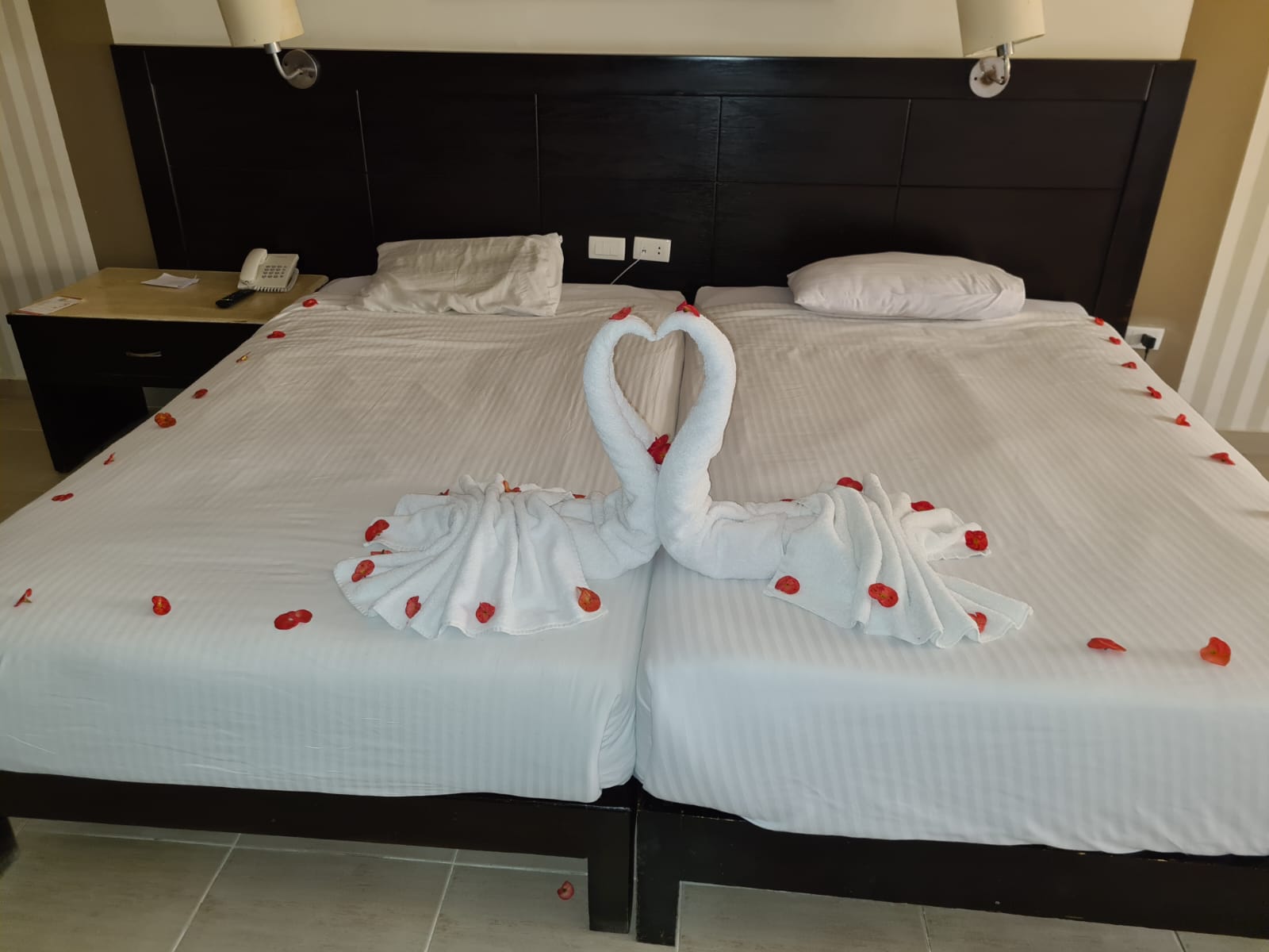 Фото El Karma Aqua Beach Resort