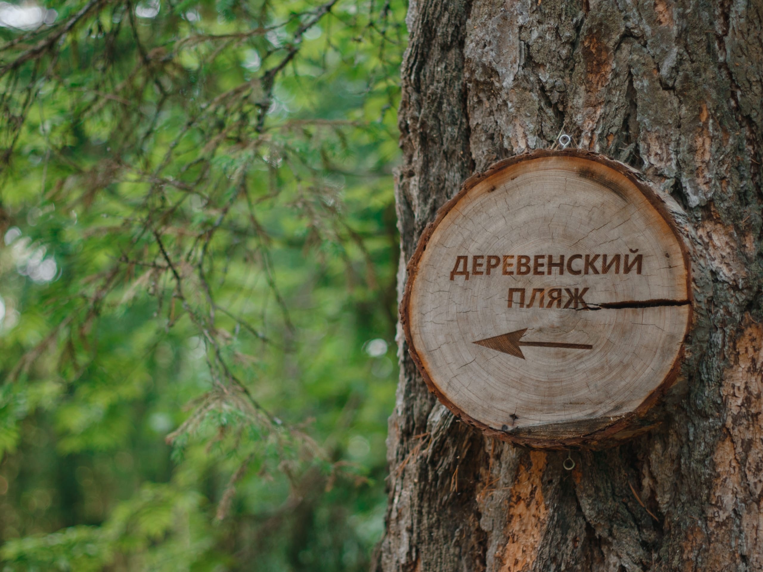 Фото База отдыха Костоваты