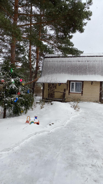 Фото Гнездо аиста