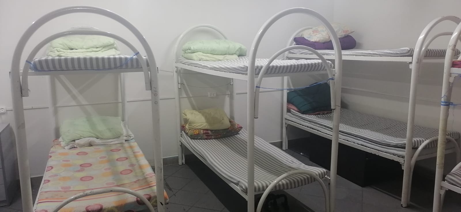 Фото Вежливый лось на Юго-Восточной