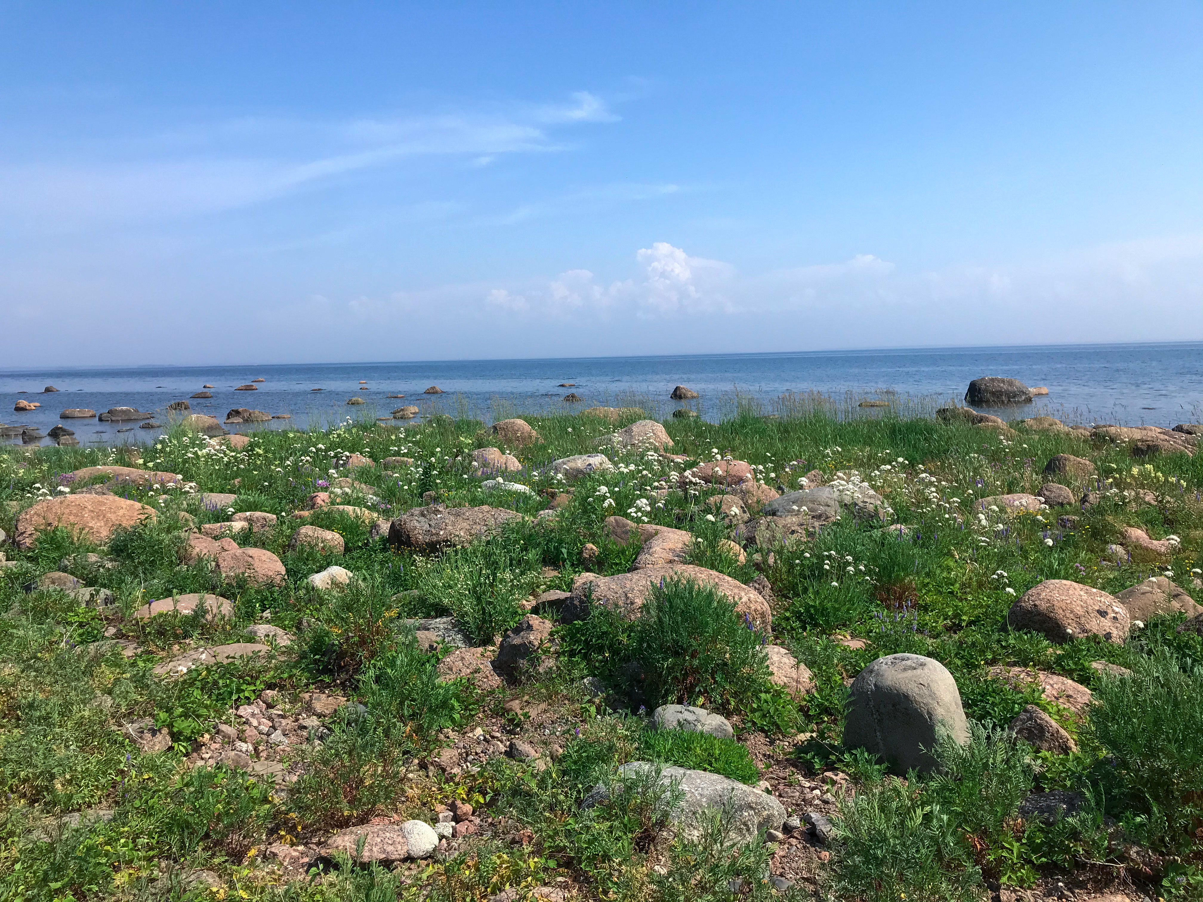 Фото Вилайоки АГРО