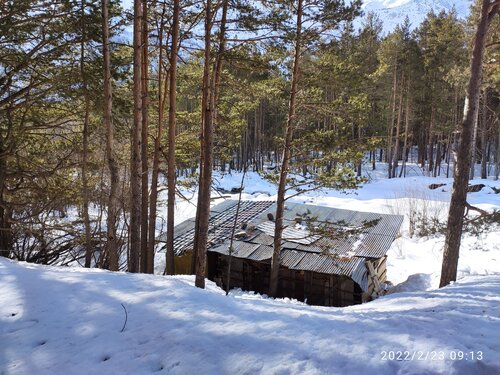 Жильё посуточно Forest House в Терсколе