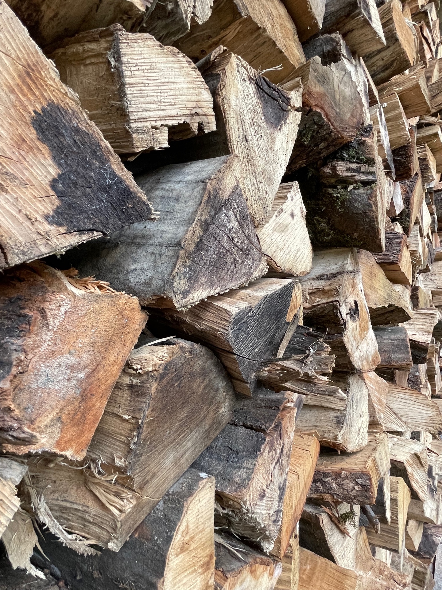 Фото Касабланка