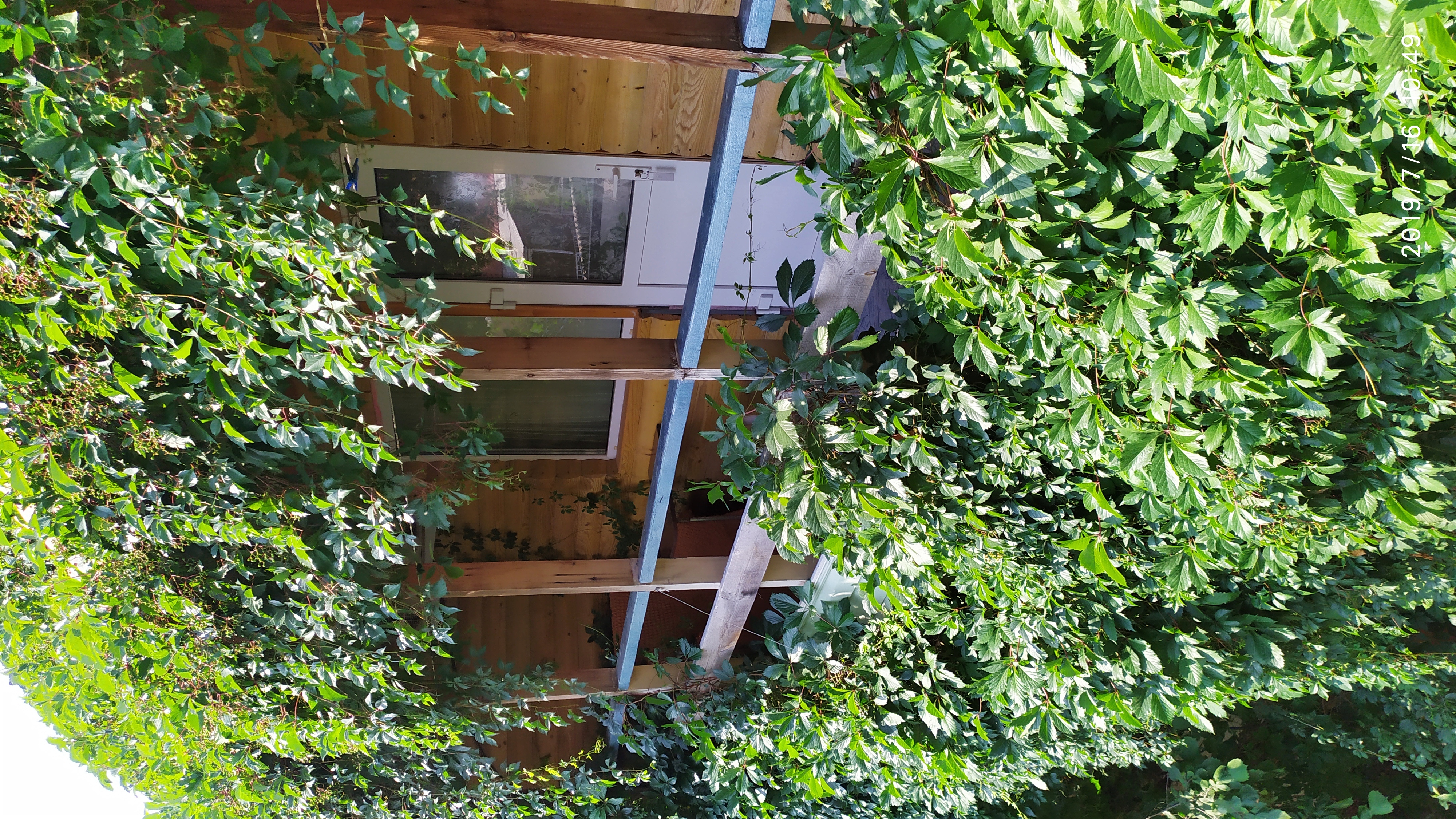 Фото Рандеву