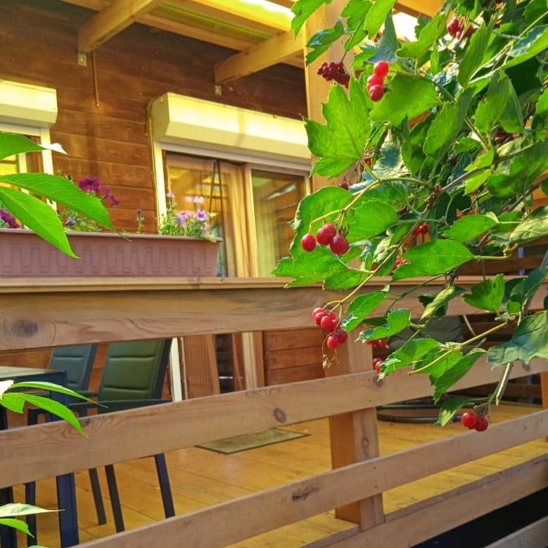 Фото Семейный