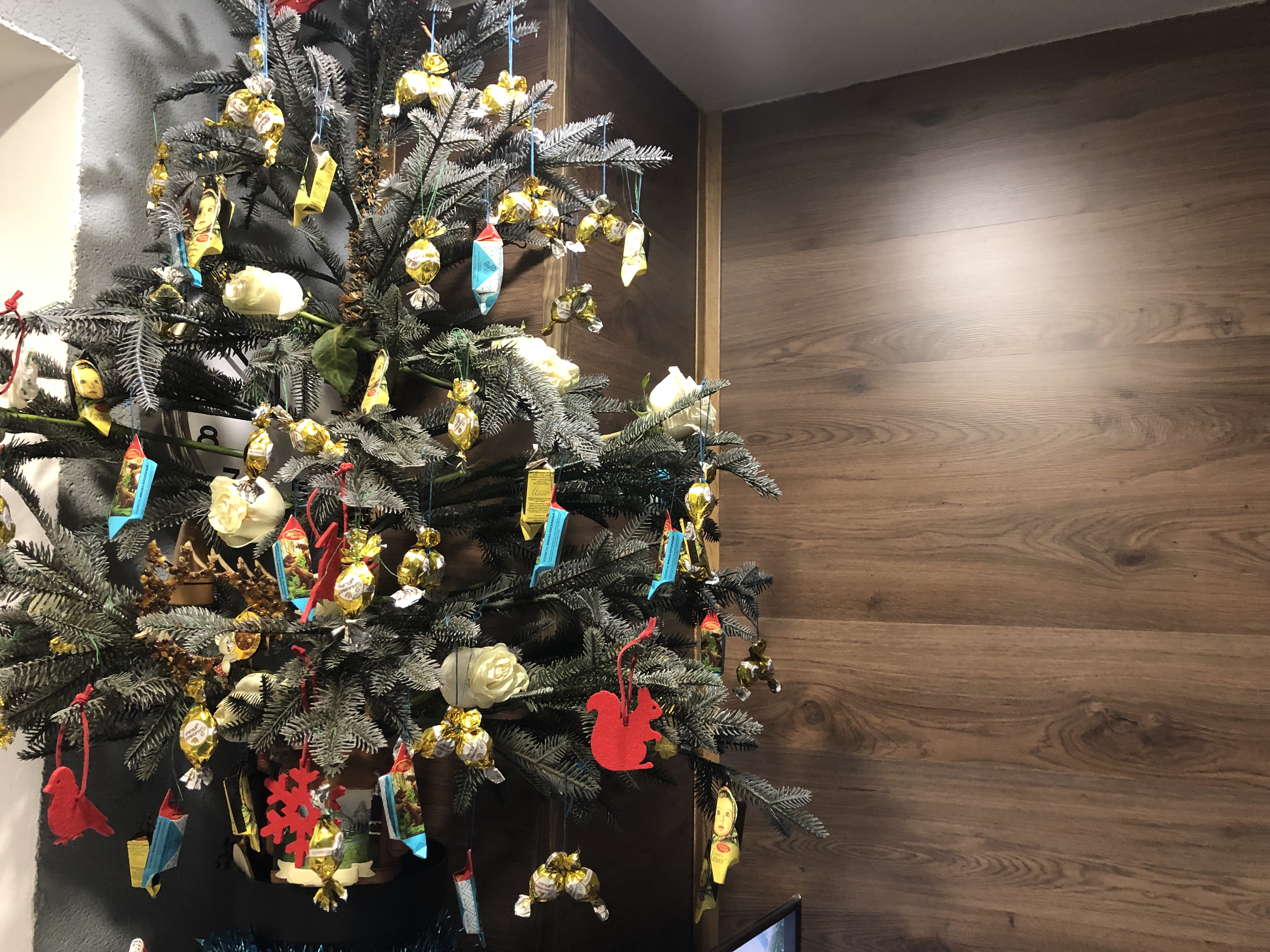 Фото Олимпия