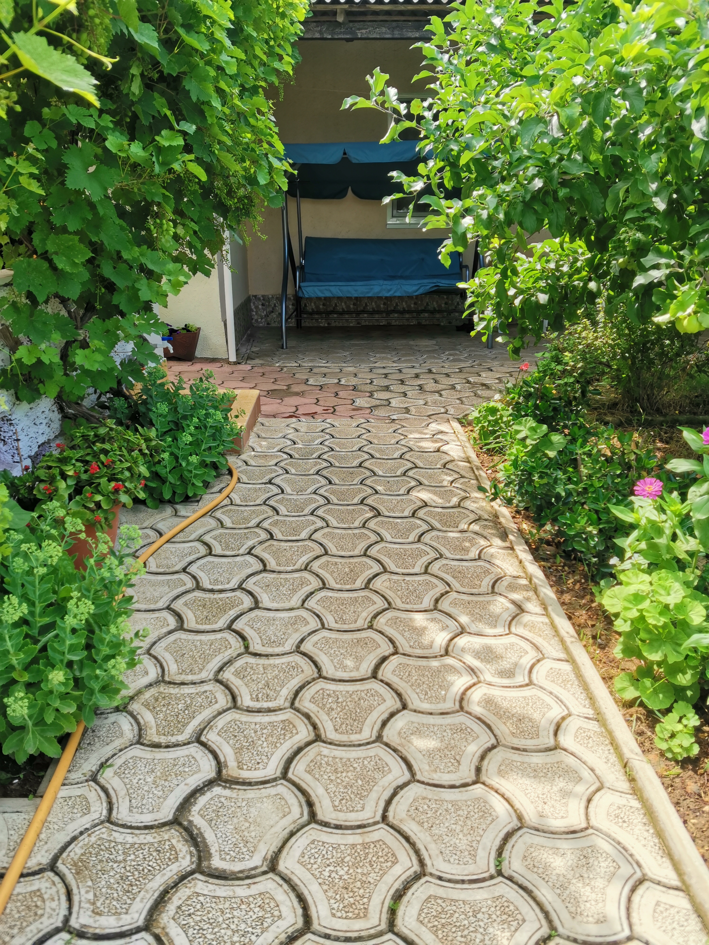 Фото Лонисера