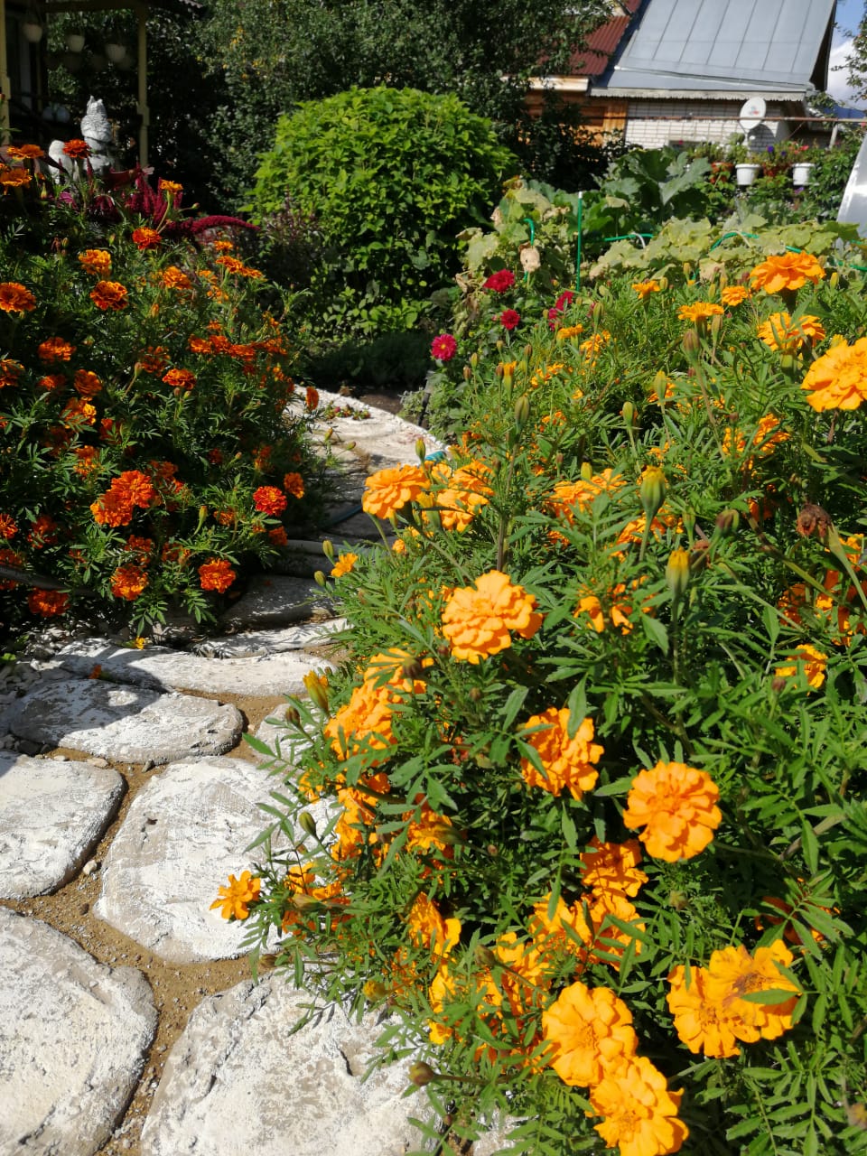 Фото Старый город