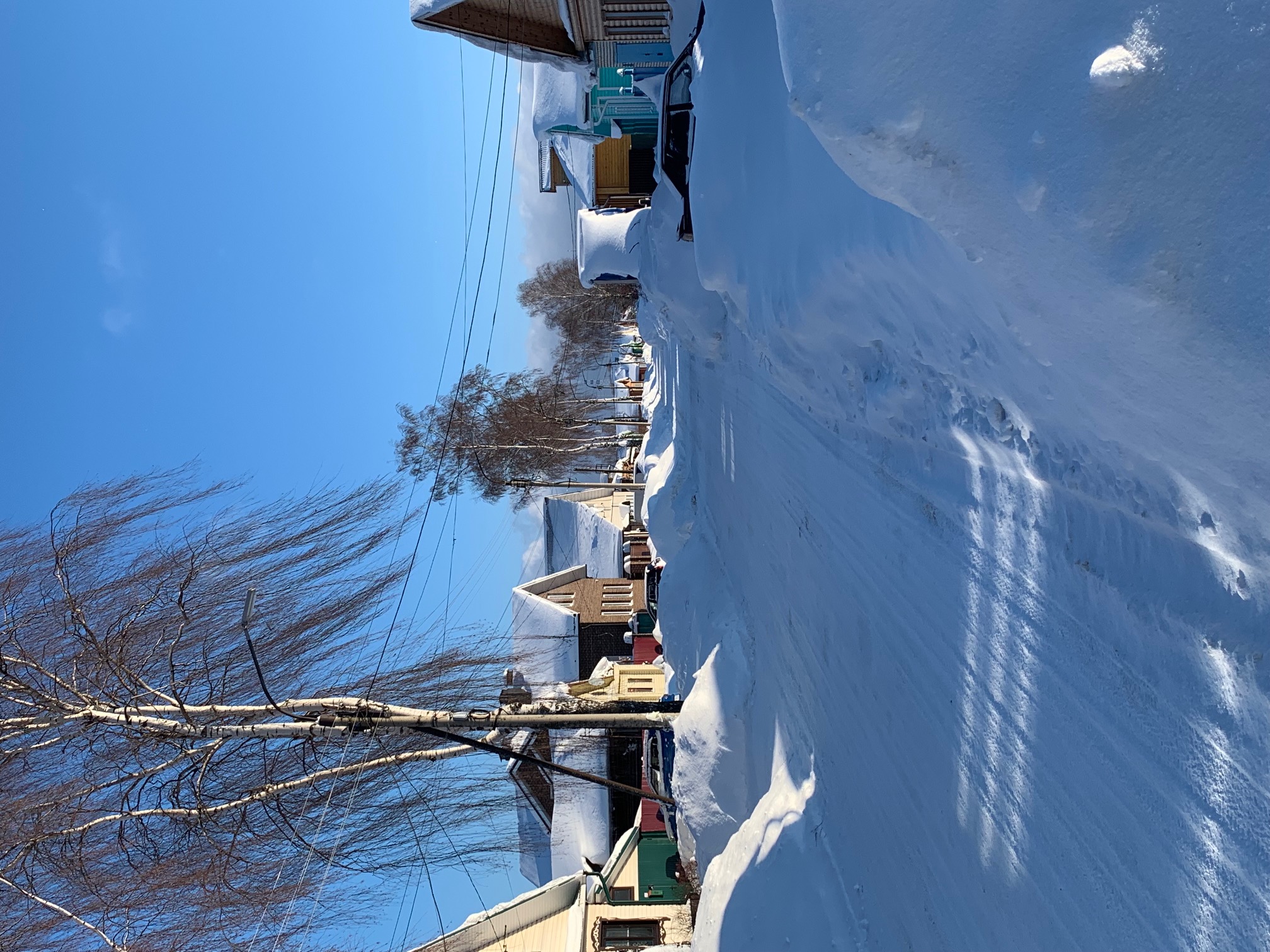 Фото Медоед