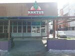 Кактус (Партизанская ул., 103), бар, паб в Барнауле