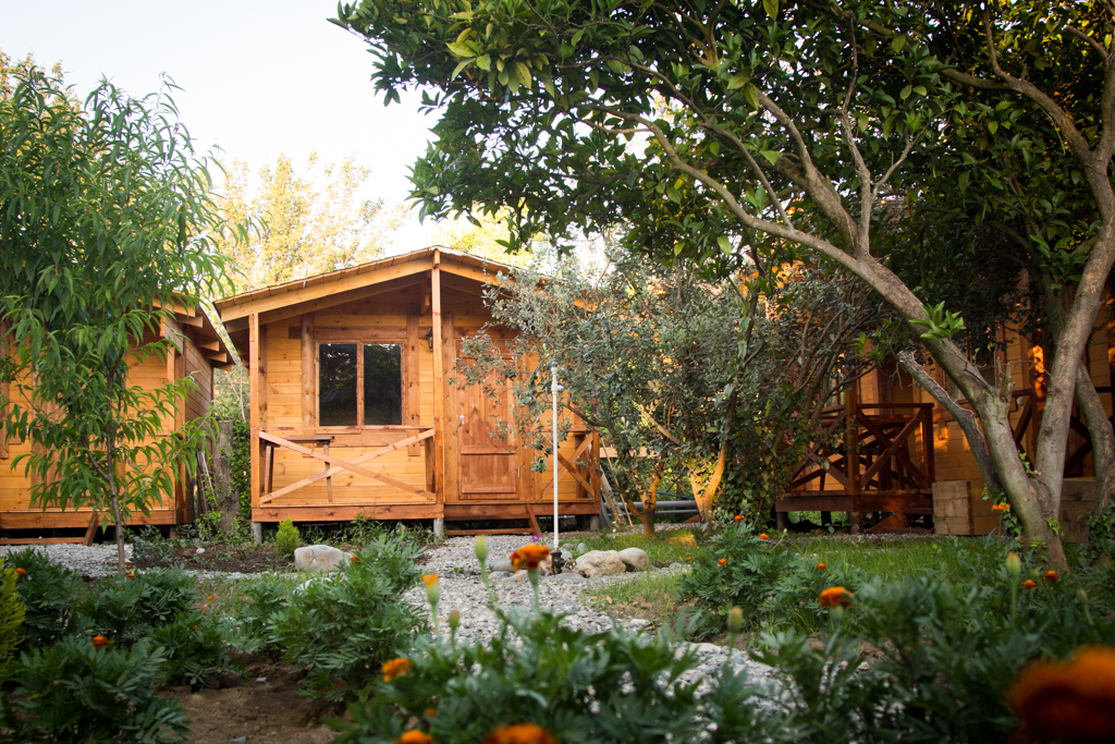 Фото Теремки