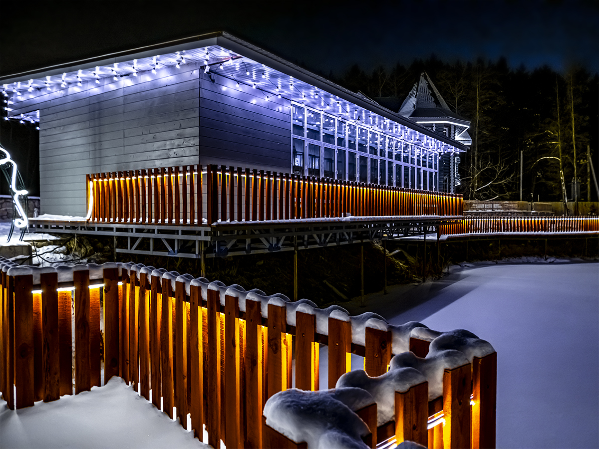 Фото Лесная история