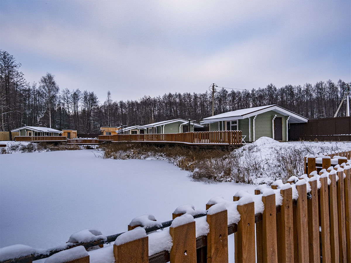 Фото Лесная история