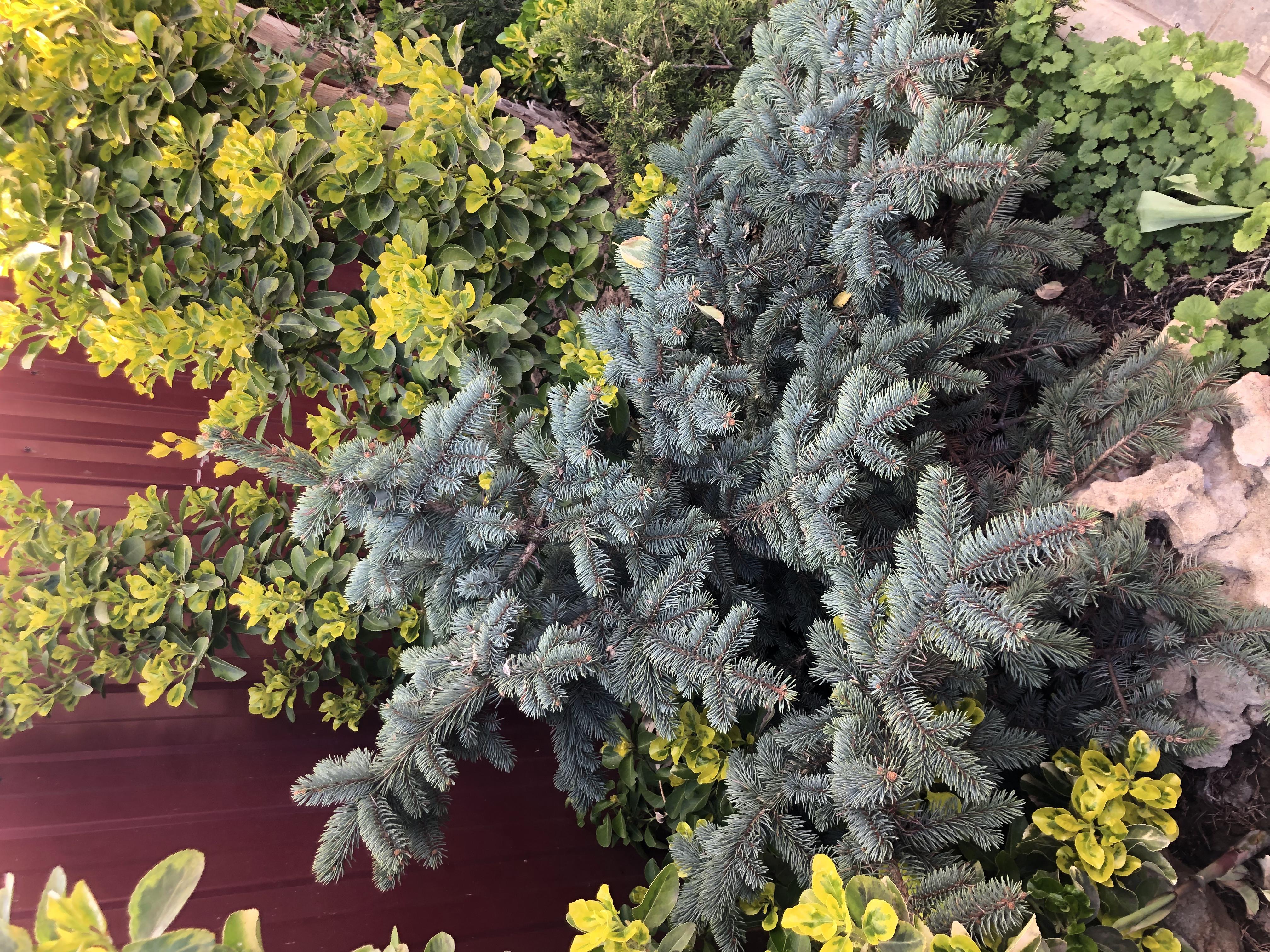 Фото Сказка ИНН