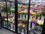 Flowers Pro (Leninsky Avenue, 131) ، محل زهور