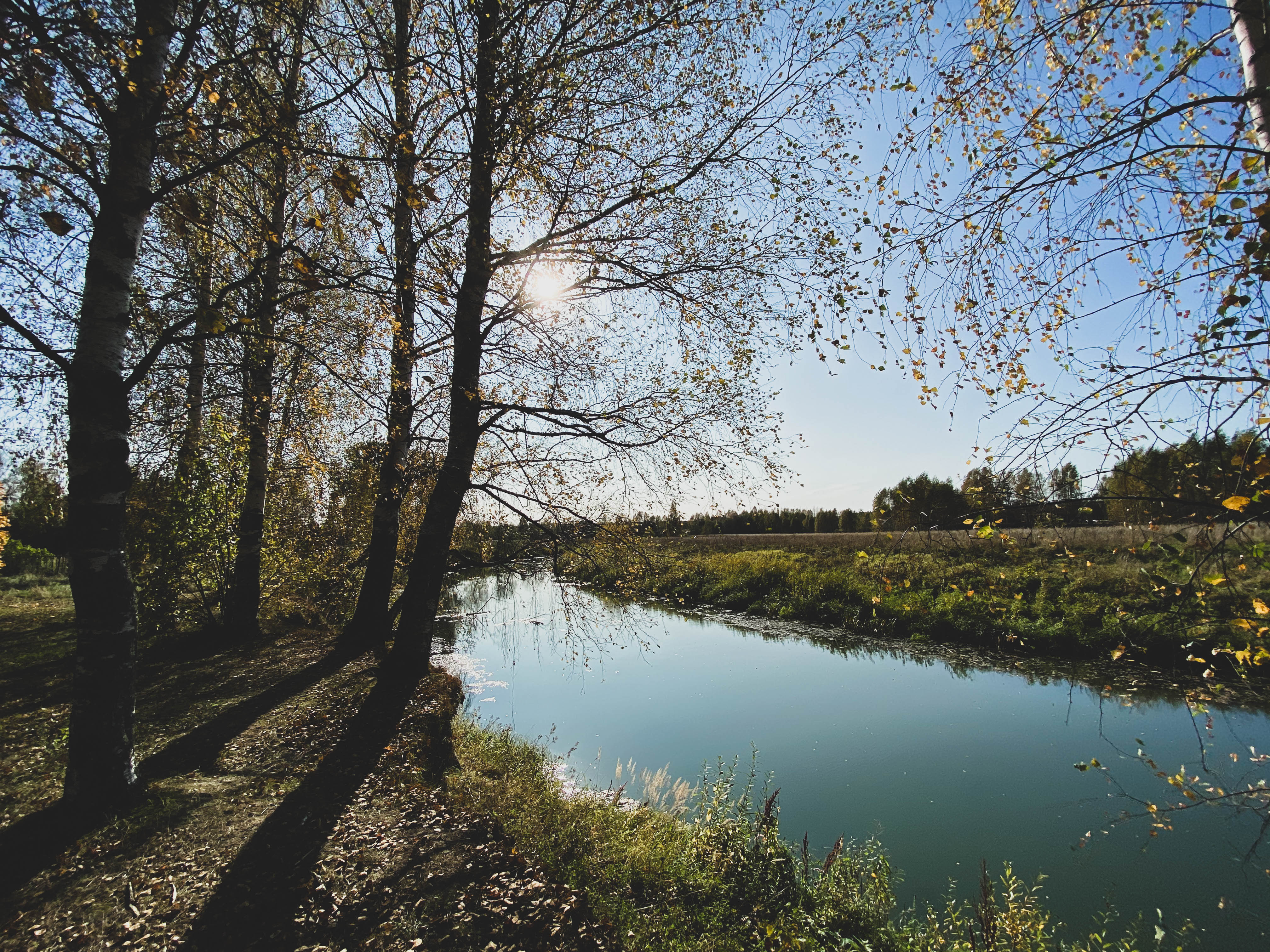 Фото Ясные зори