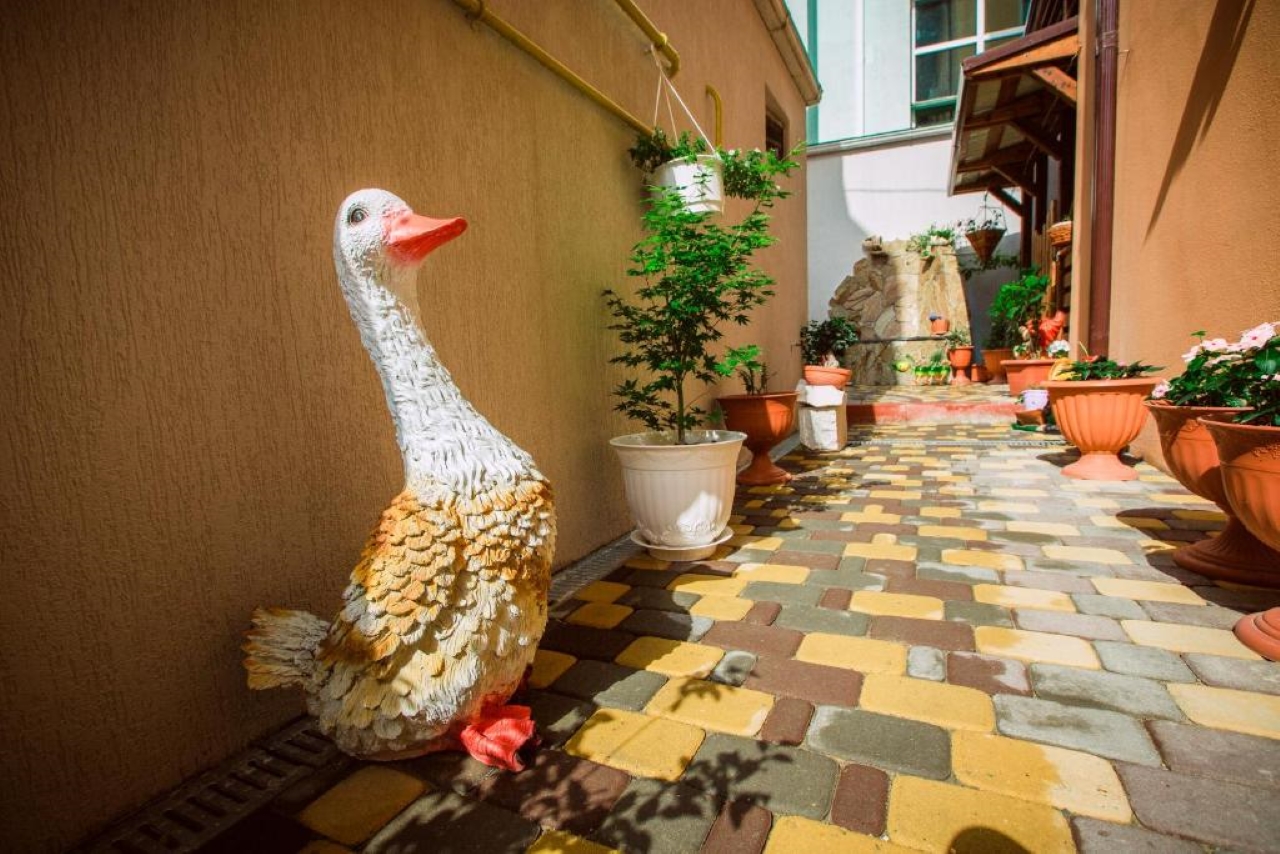 Фото отеля 5