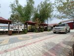 Melek (Tashkent Region, Zangiata District, Settlement of Buzsuv), dairy products wholesale