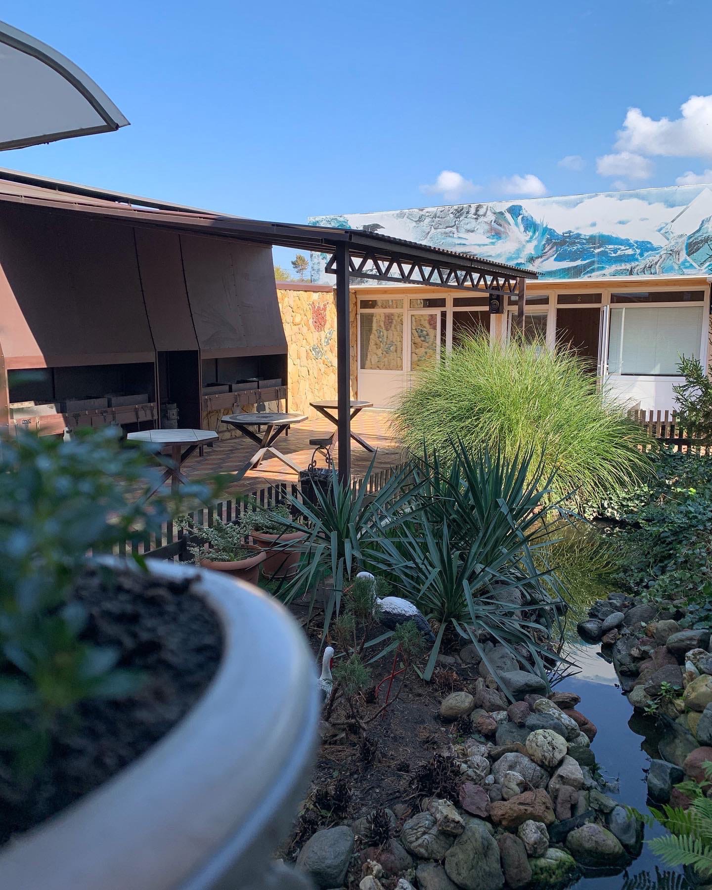 Фото Коралл фемели