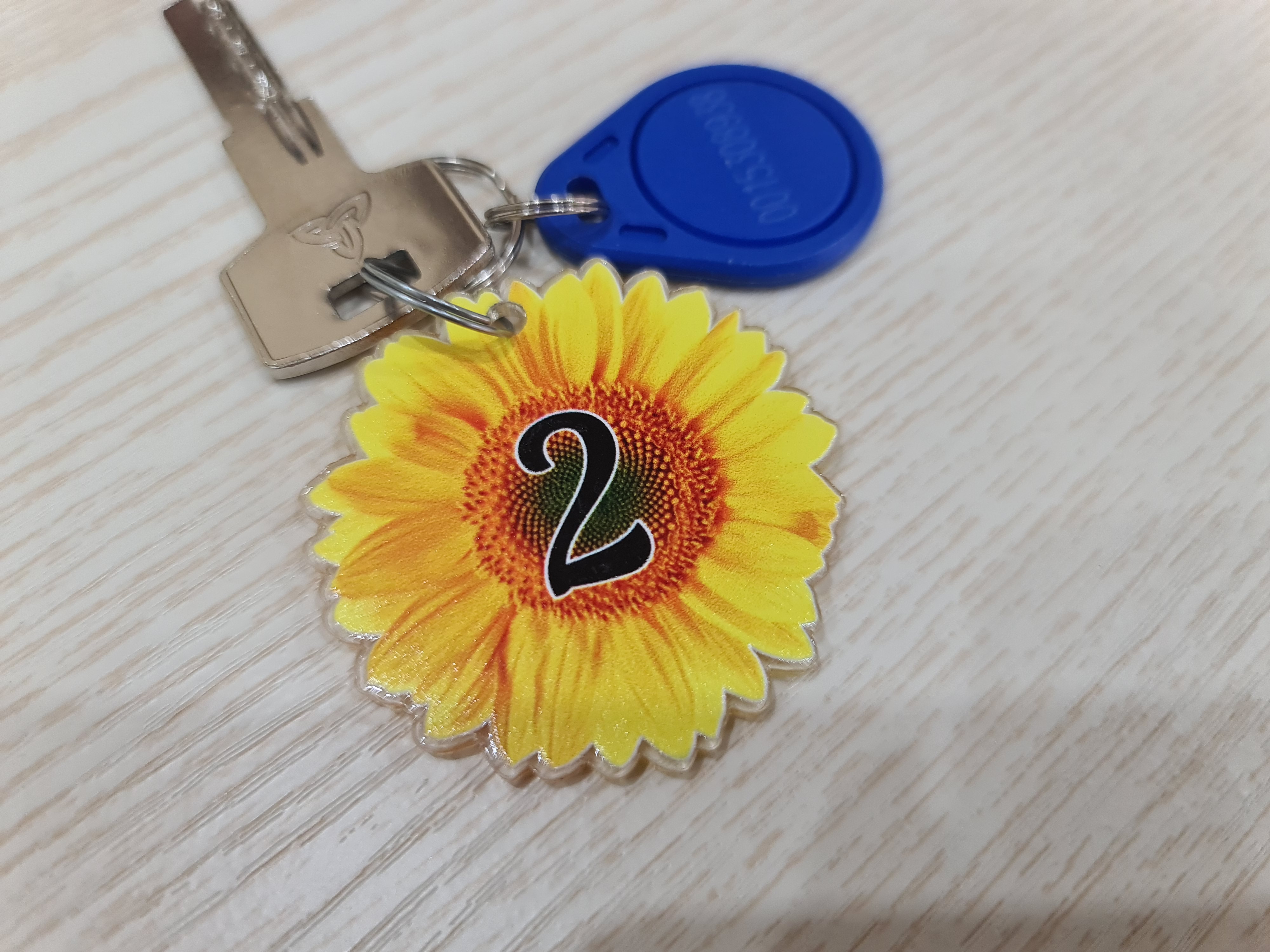 Фото Подсолнух