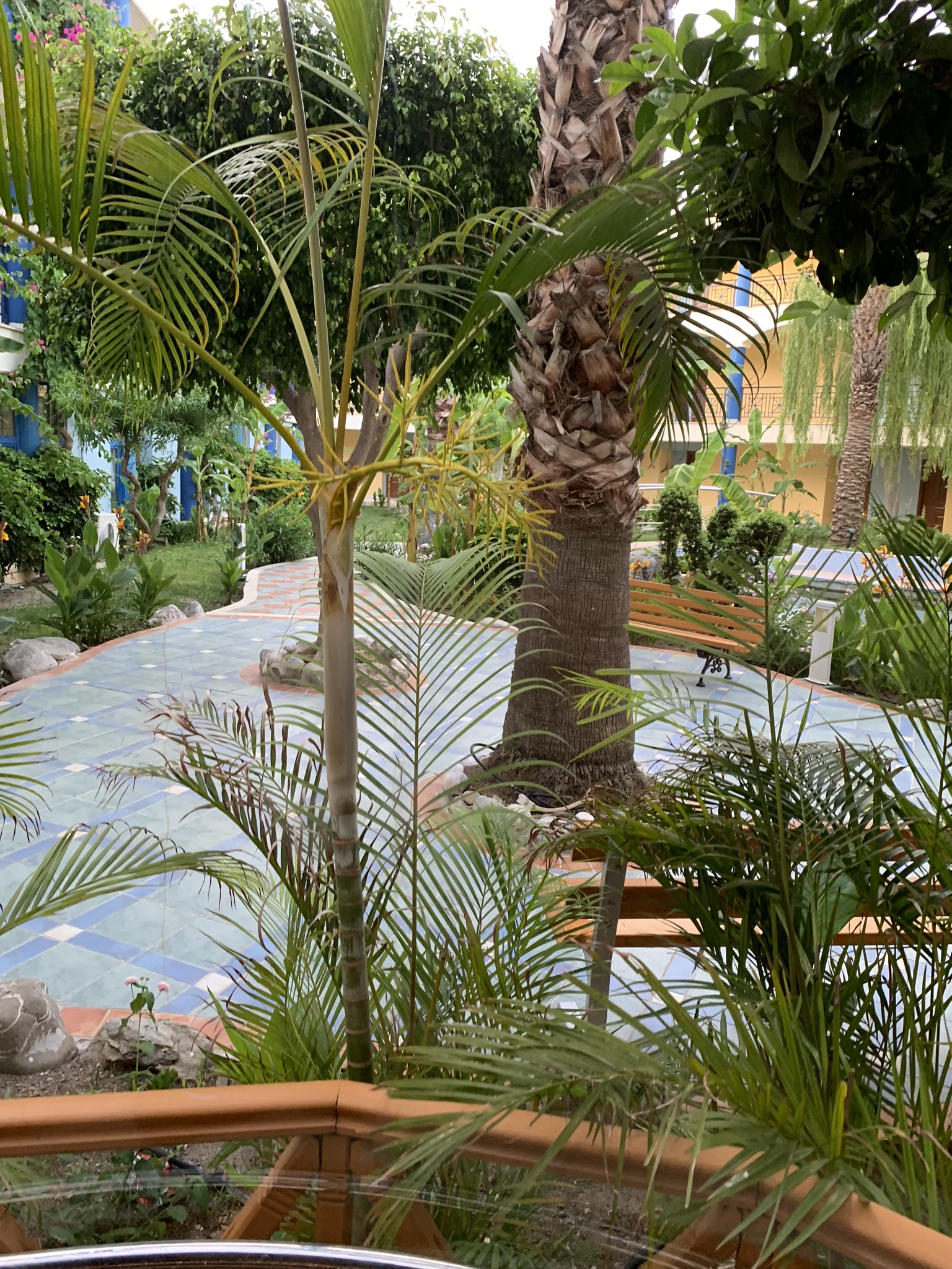 Фото Atrium Palace Thalasso SPA Resort & Villas