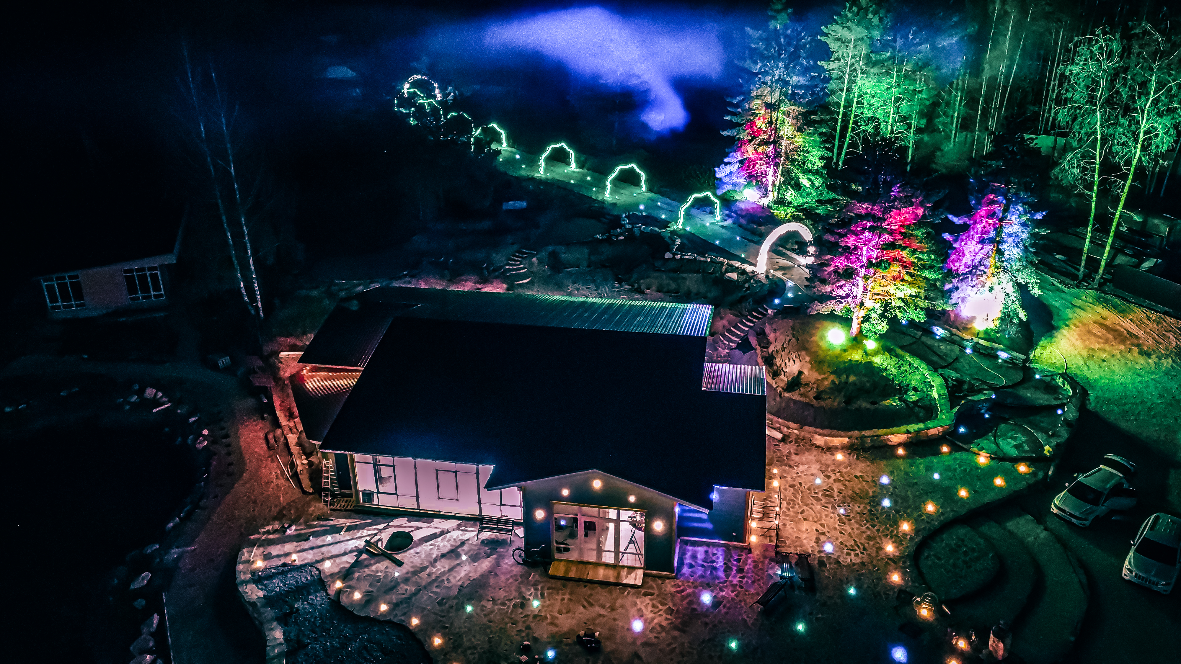 Фото Лесная история