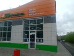 33 Tulpana (Krasnoarmeyskaya ulitsa, 79К), flower shop
