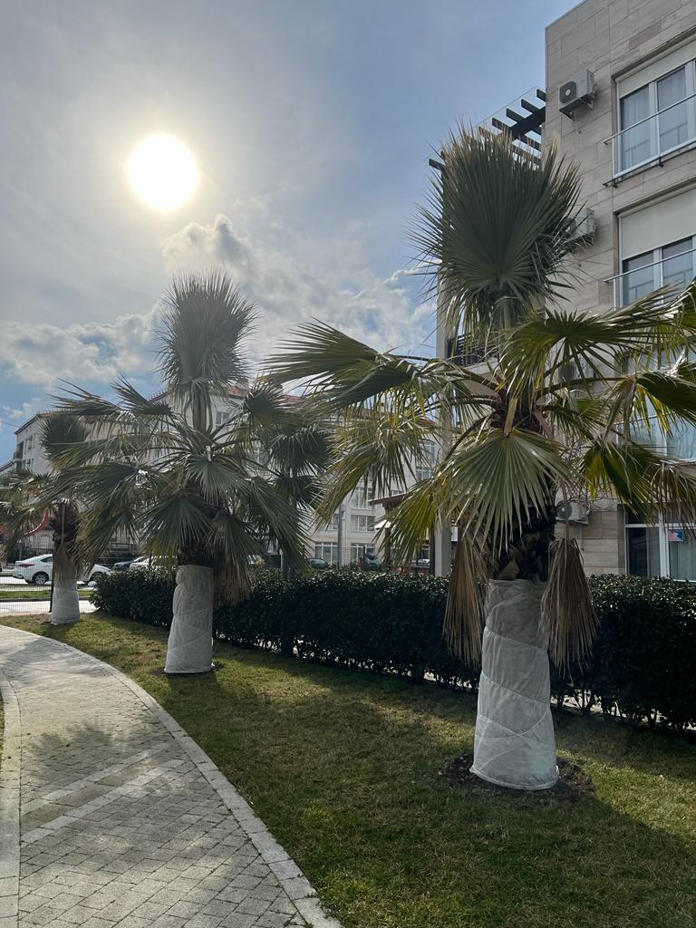 Фото Апартаменты на Парусной