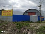 Agronit (Samara Region, Tolyatti, Obvodnoye Highway, 49), fodder and feed additives
