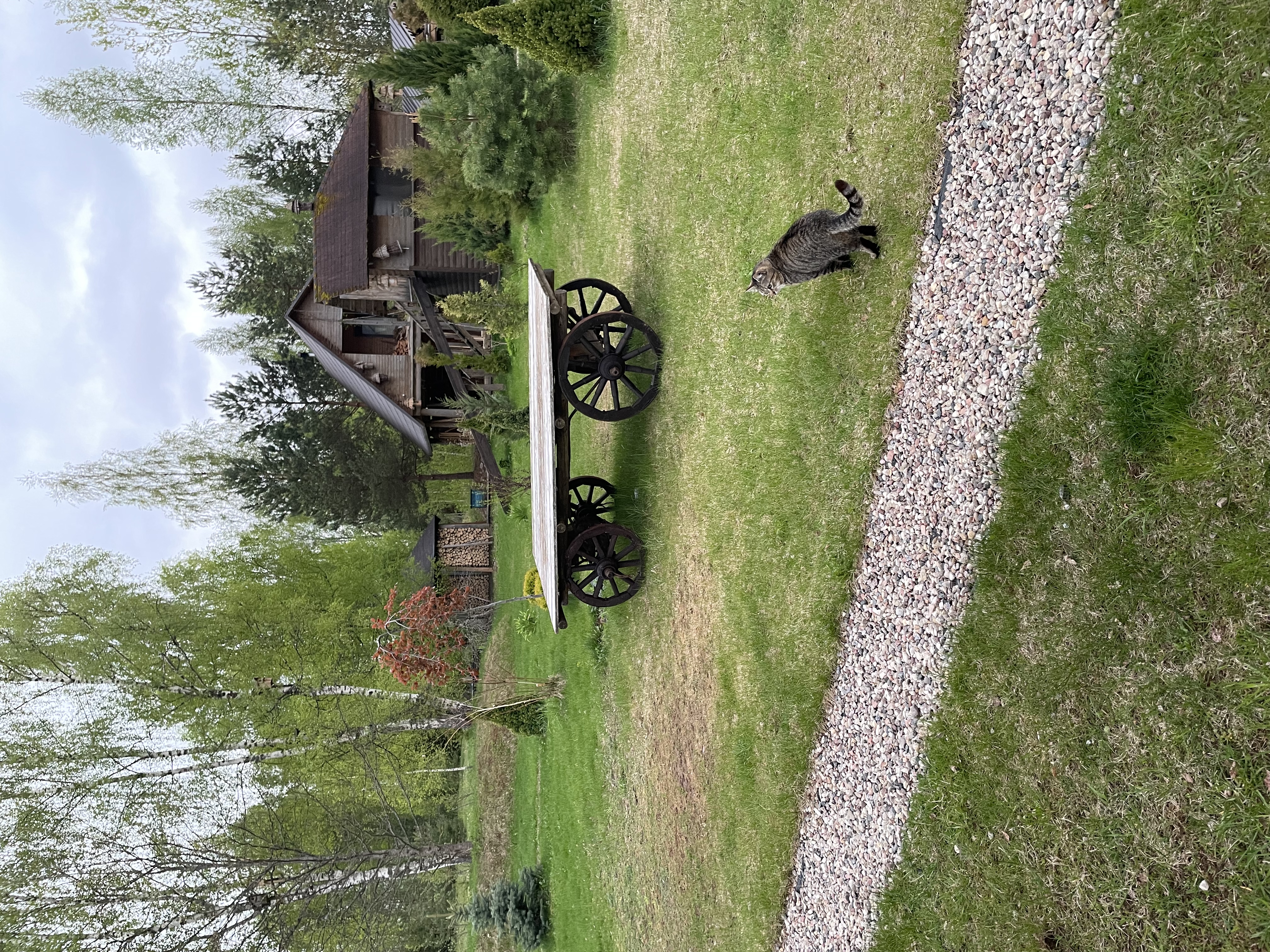 Фото У Лукоморья