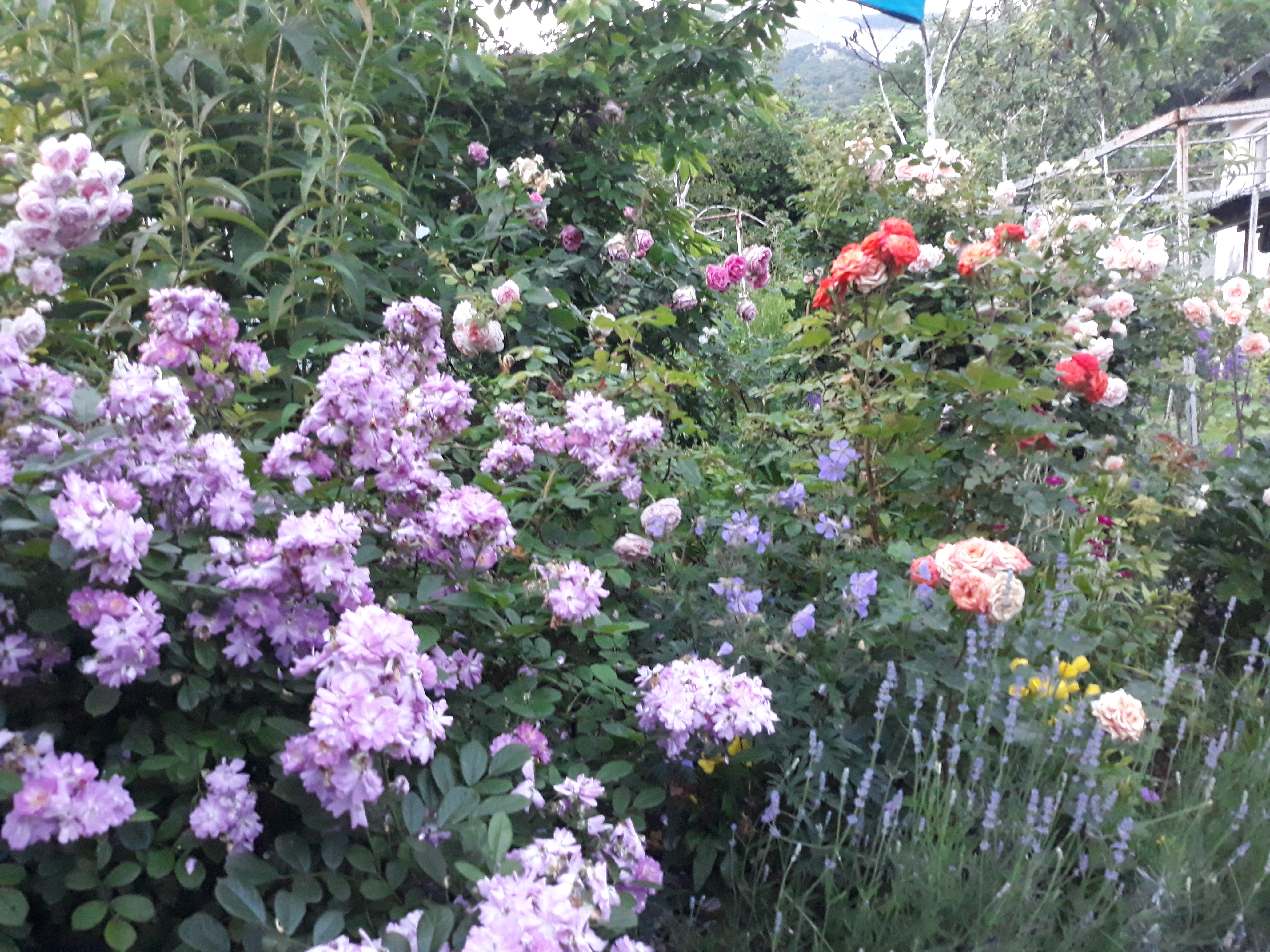 Фото Друзья